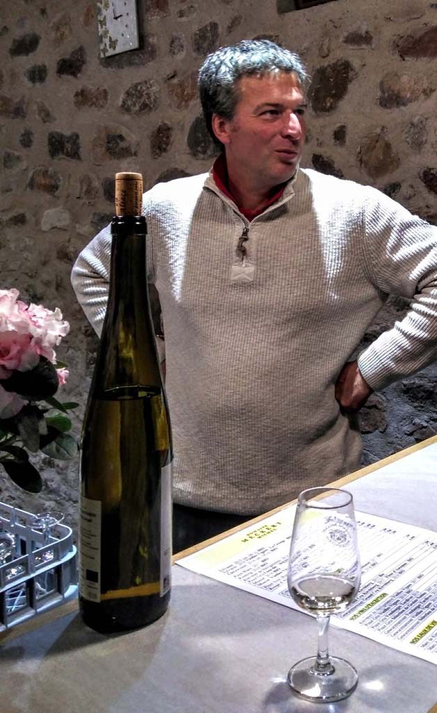 Monsieur Meckert bei einer Weinprobe, Heiligenstein, Klevener de Heiligenstein, Routes des Vins d´Alsace, Elsass, Mont Sainte Odile