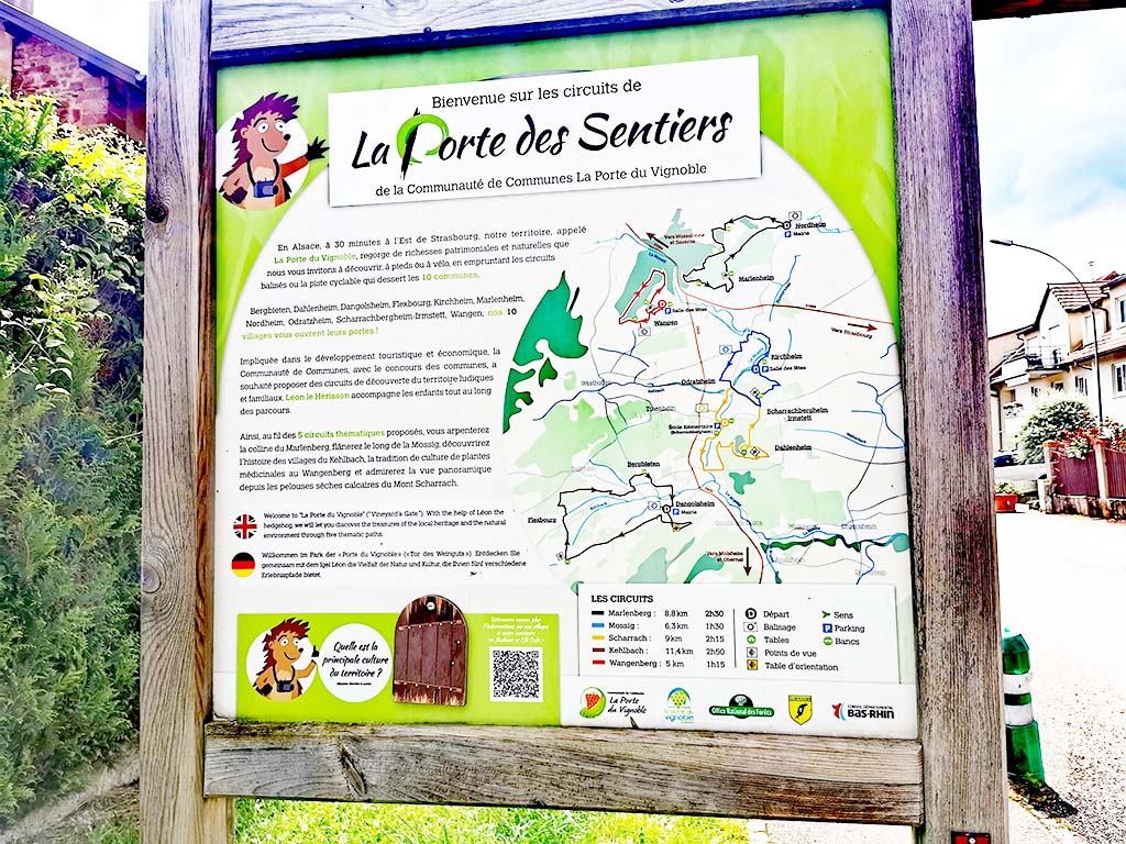 Scharrachbergheim-Irmstett_Elsass_Alsace_Wanderung_Sentier_Circuit_Rundwanderweg_Wandern