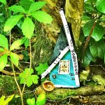 Elfentür Wichteltür